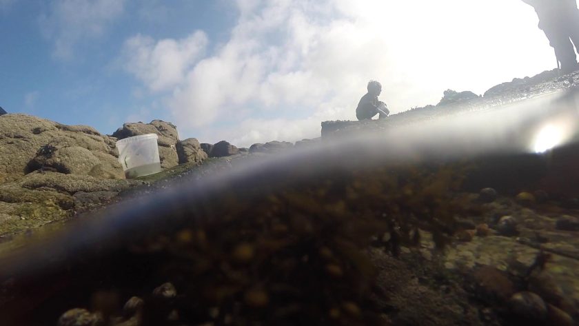 Afterwork arts et sciences : l’aventure Moorev